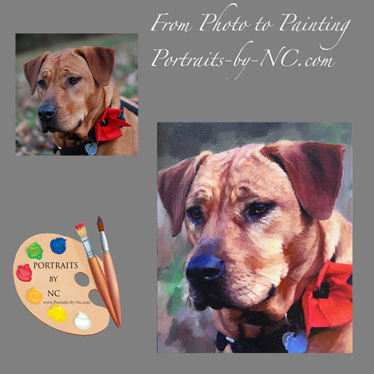 Labrador Portrait from Photo 498