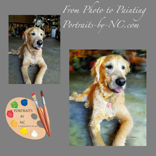 Labrador Portrait from Photo 533