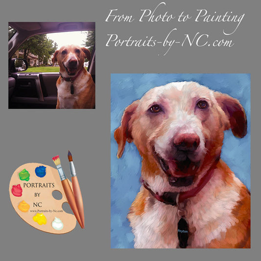 Labrador Portrait from Photo 552