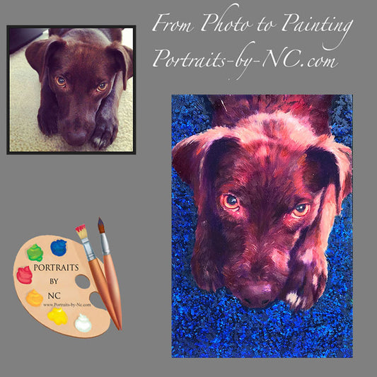 Labrador Portrait from Photo 562