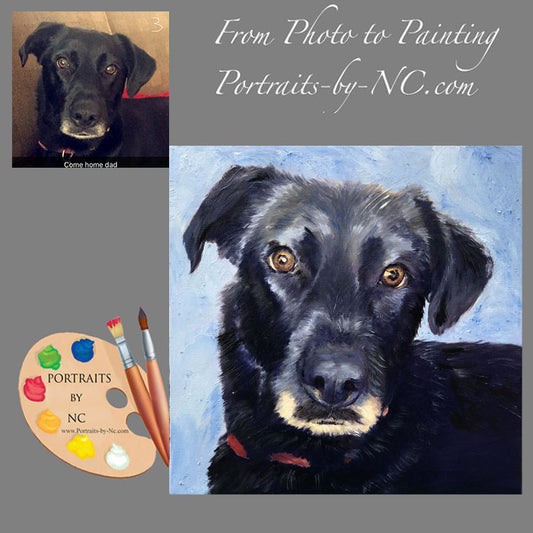 Labrador Portrait from Photo 587