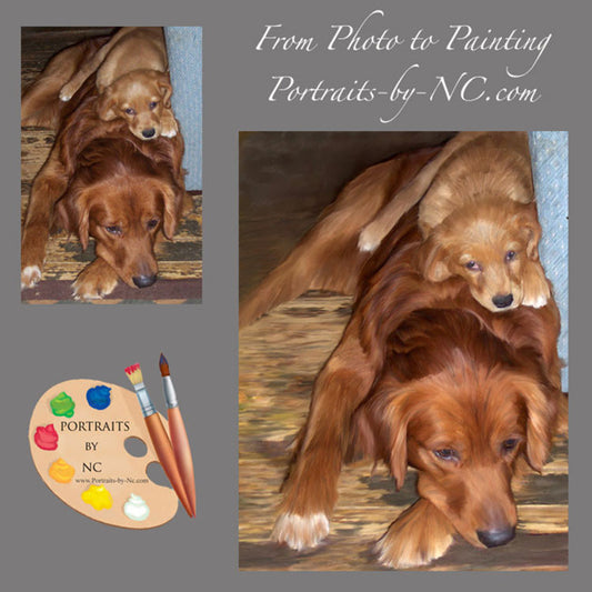 Labrador Portrait Father and Son from Painting 347