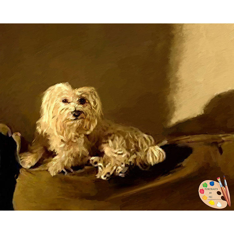 Maltese Dog Painting 399 - Portraits by NC