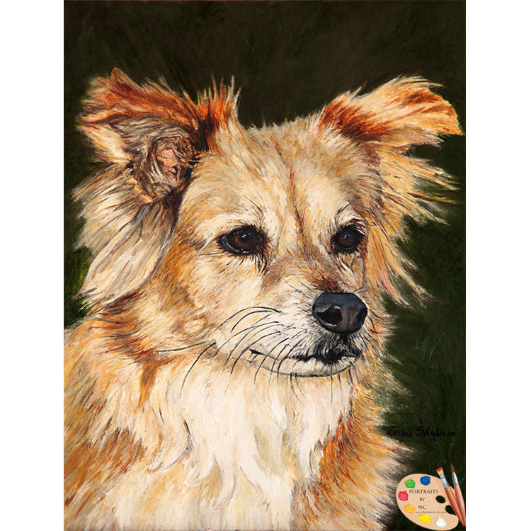 Mutt Pet Portrait 154 - Portraits by NC