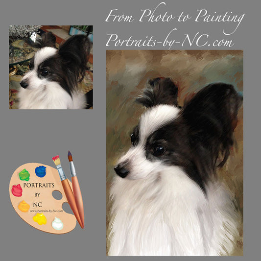 Papillion Dog Portrait from Photo 388