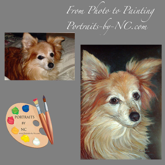 Papillion Dog Portrait from Photo 86