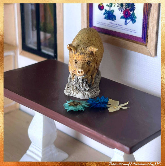 Miniature Pig Front View