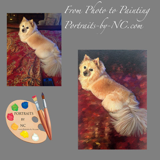 Pomeranian Dog Portrait from Photo 496