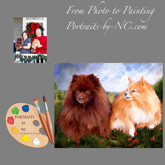 Pomeranians Dog Portrait from Photo 507