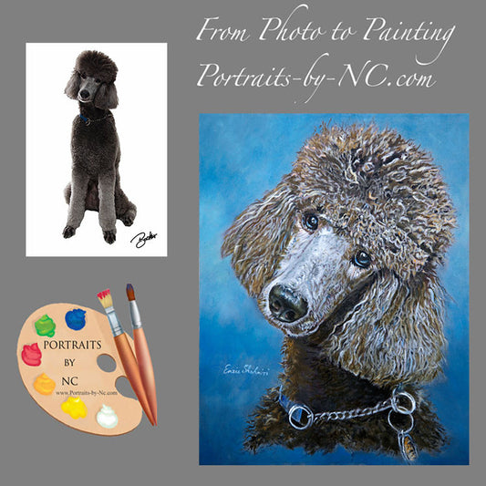 poodle-portrait-from-photo-199