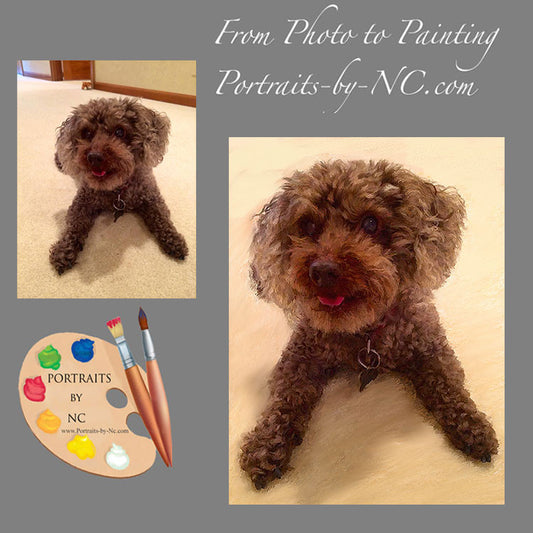 Brown Poodle Dog Portrait 475 - Portraits by NC