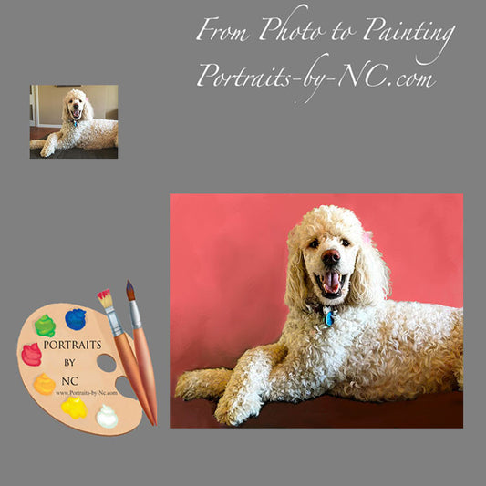 White Poodle Dog Portrait from Photo 480