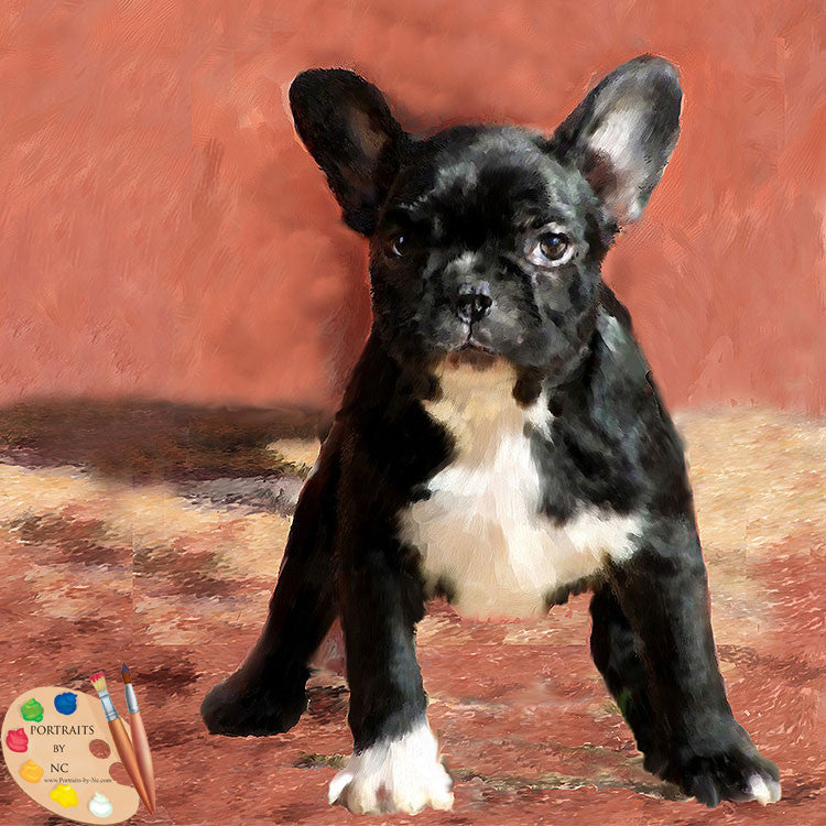 Pug Dog Portrait 380