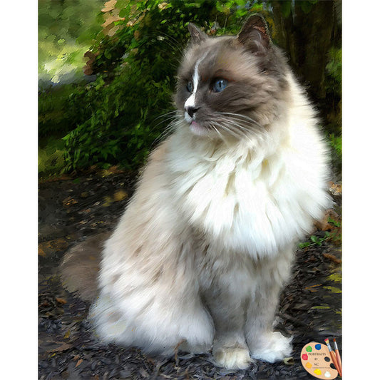 Ragdoll Cat Painting 367