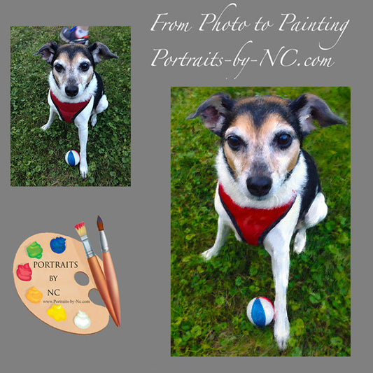 Rat Terrier Portrait from Photo 392