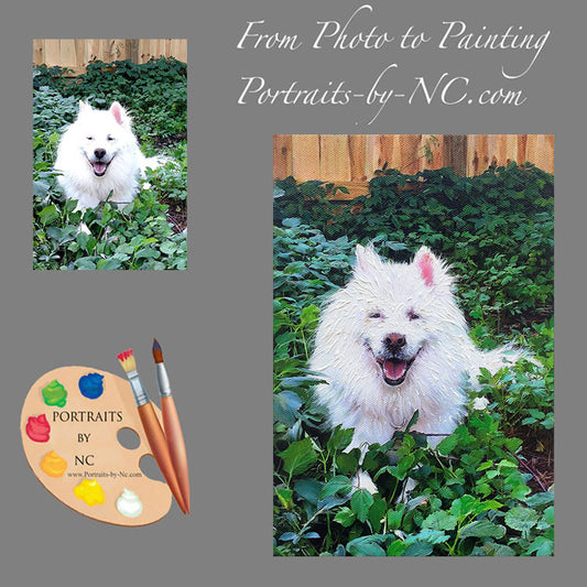 Samoyed Dog Portrait from Photo 467