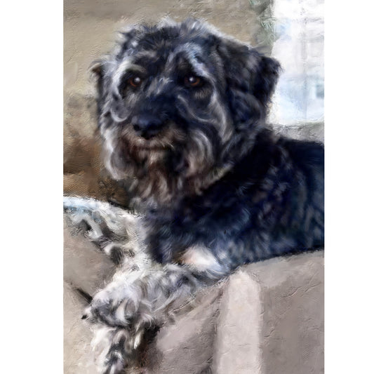 Schnauzer custom portrait
