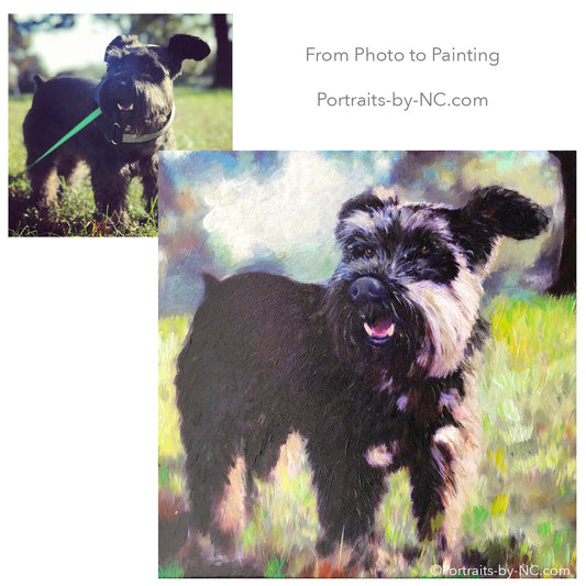 schnauzer oil portrait from photo