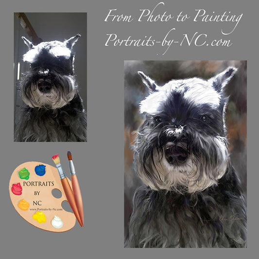 schnauzer-portrait-from-photo-217