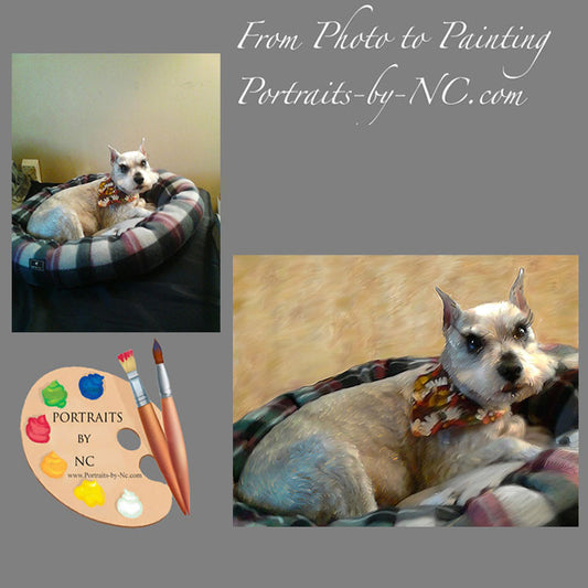 Schnauzer Dog Portrait from Photo 431