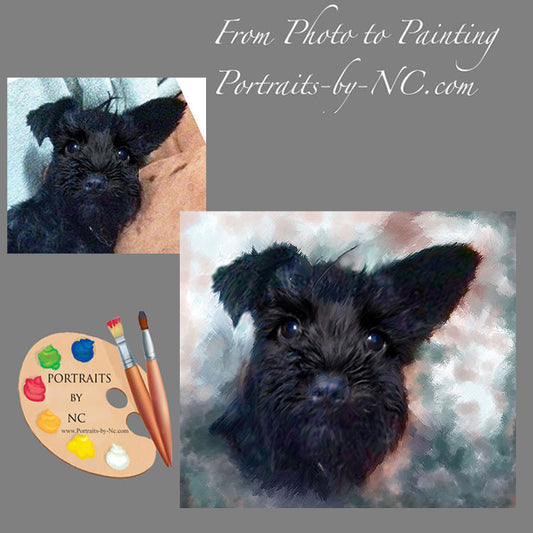 schnauzer-portrait-from-photo-236