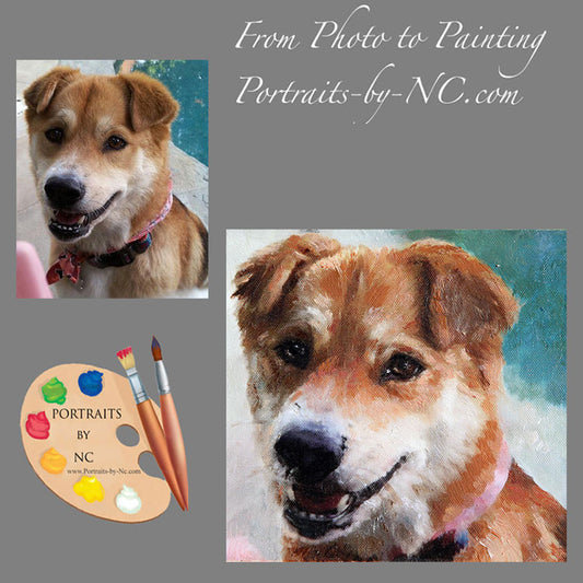 Shibu Inu Dog Portrait from Photo 524