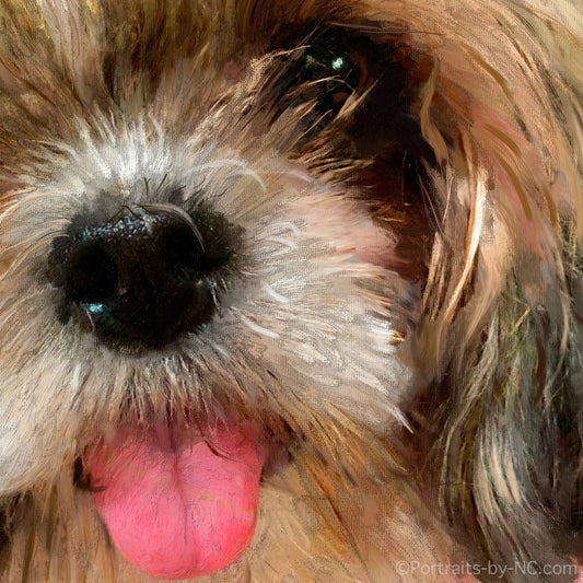 Shih Tzu Nose and Tongue