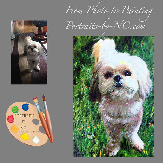 Shih Tzu Dog Portrait from Photo 379