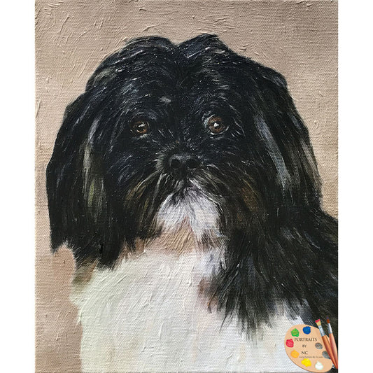 shih-tzu-oil-portrait-576