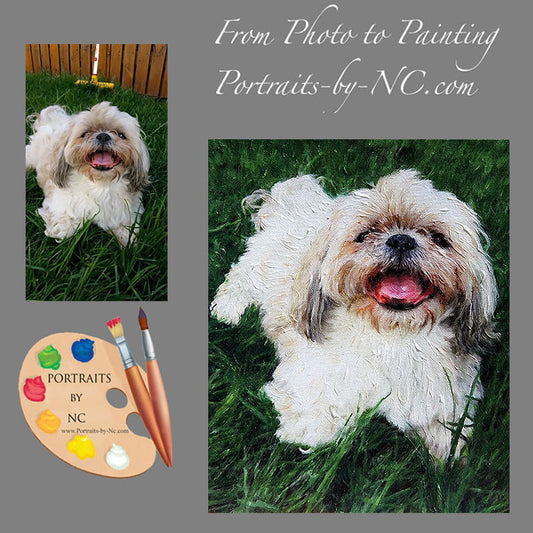 Shih Tzu Pet Portrait from Photo 419