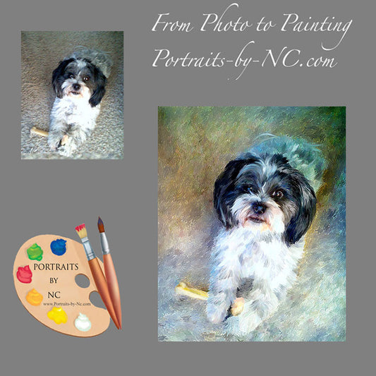 Shih Tzu Dog Portrait from Photo 501