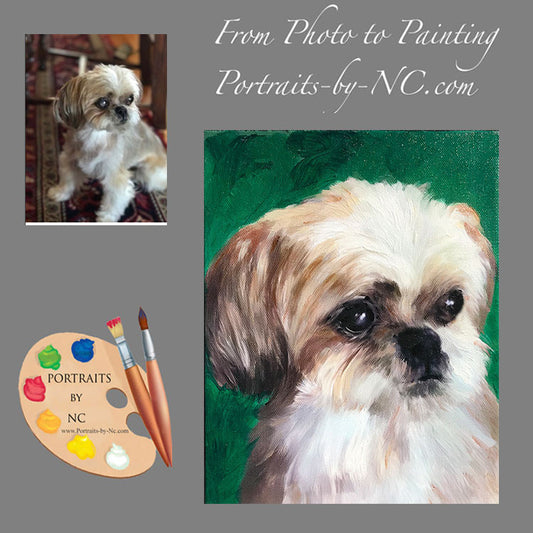 Shih Tzu Dog Portrait from Photo 504