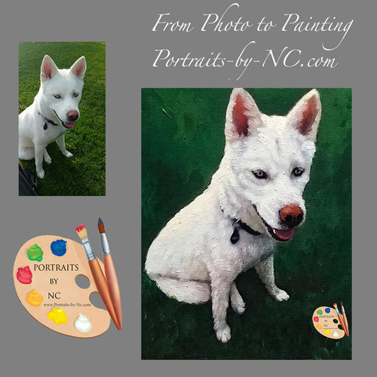 Siberian Husky Dog Portrait from Photo 555