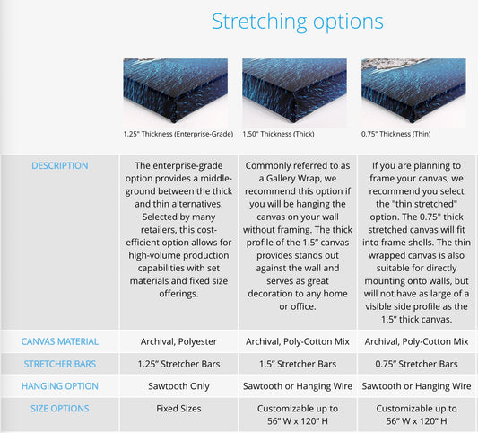 Stretched Canvas Print - The Writers Muse