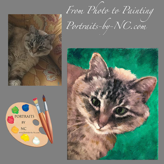 Tabby Cat Portrait from Photo 503