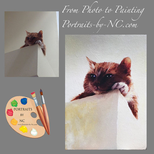 Tabby Cat Portrait from Photo 519