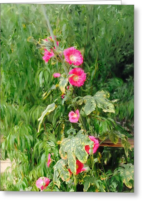 Hollyhock 5x7 Greeting Card