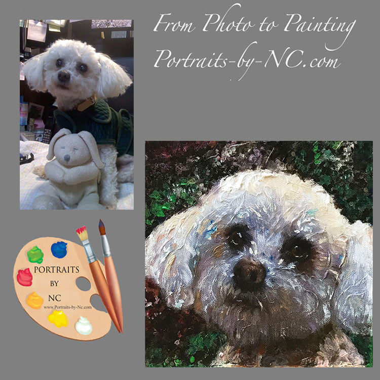 Toy Poodle Dog Portrait from Photo 565