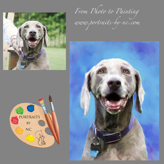 Weimaraner Dog Portrait from Photo 352
