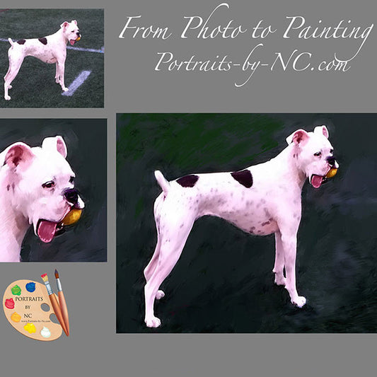 White Boxer Dog Portrait from Photo 394