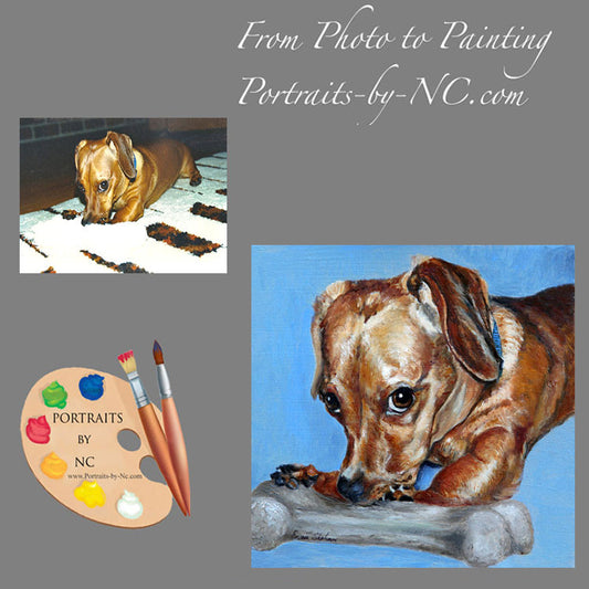 Wiener Dog Portrait from Photo 161