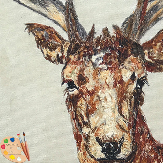 Wildlife Art Young Buck Print 209