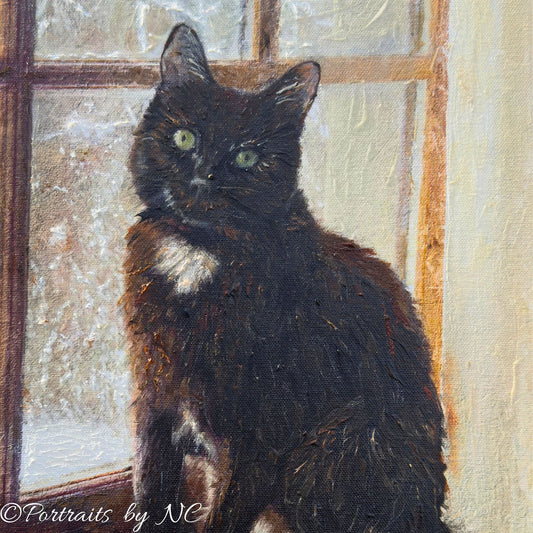 Cat Portrait Commission