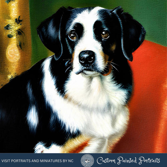 Australian Border Collie Painting