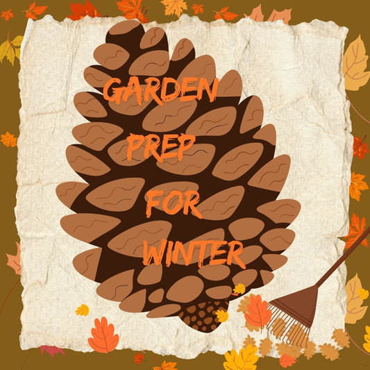 Garden Prep for Winter