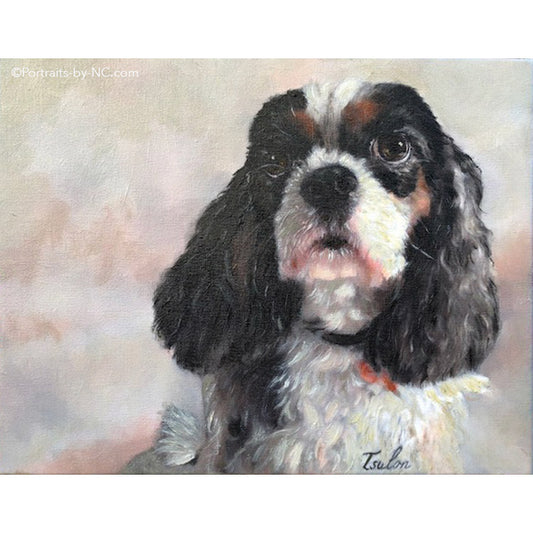 Dog Portrait Cavalier King Charles