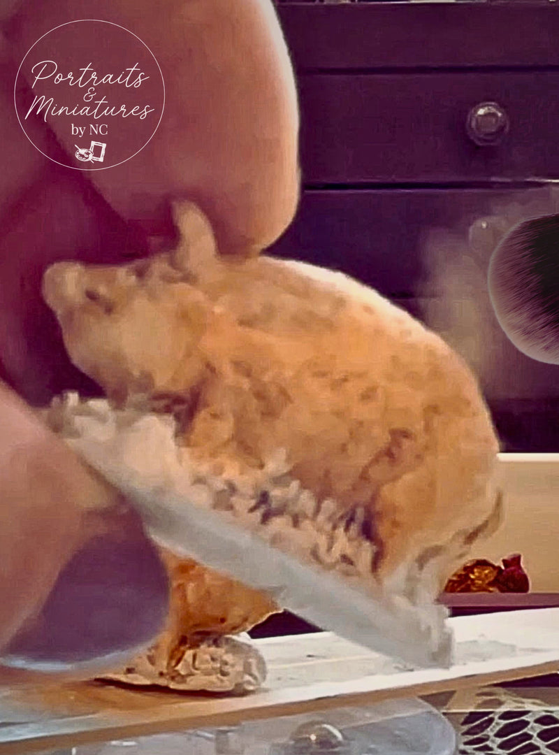 Meet the New Miniature Pig in Town!