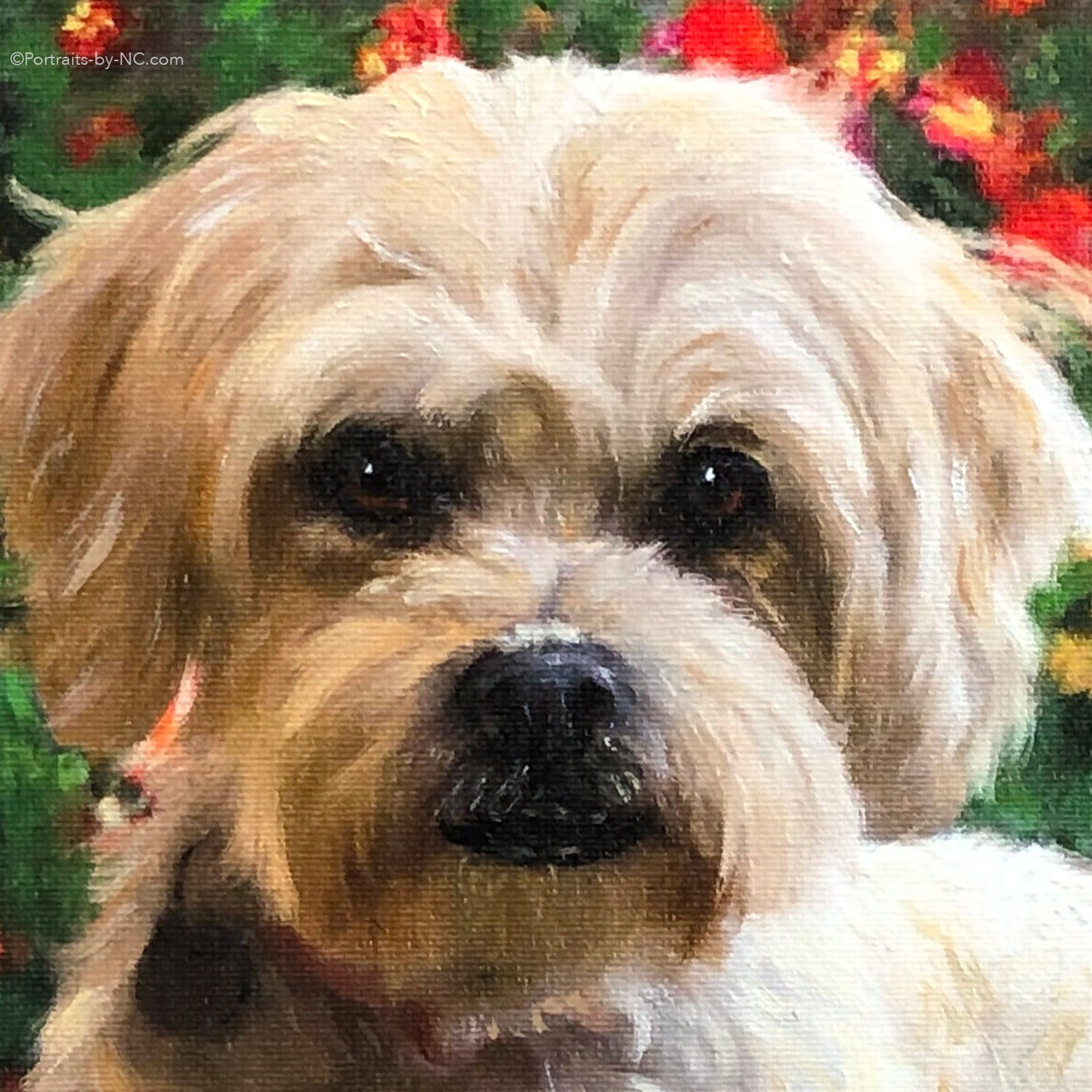 Meet Cinnamon a Lhasa Apso Poodle Mix – Portraits and Miniatures by NC