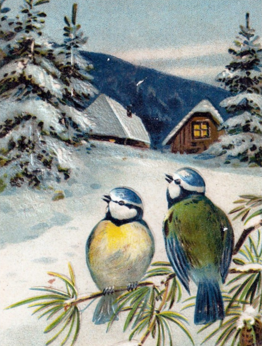 Winter Postcard with birds