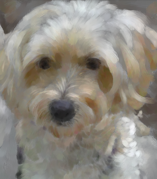 Golden Doodle Custom painted Portrait 667